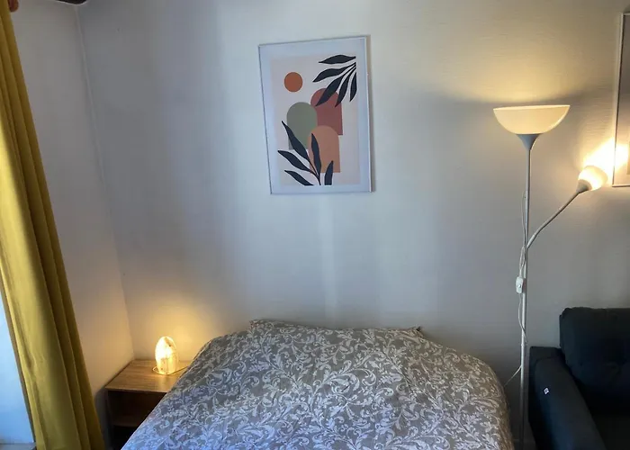 Confortable Studio Centre Ville