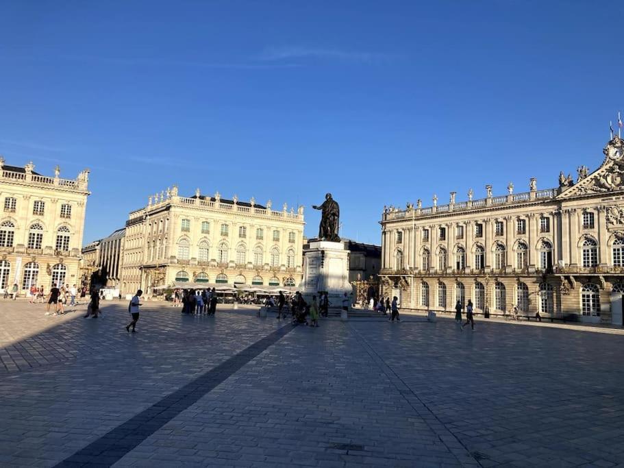 Apartment Confortable Centre Nancy